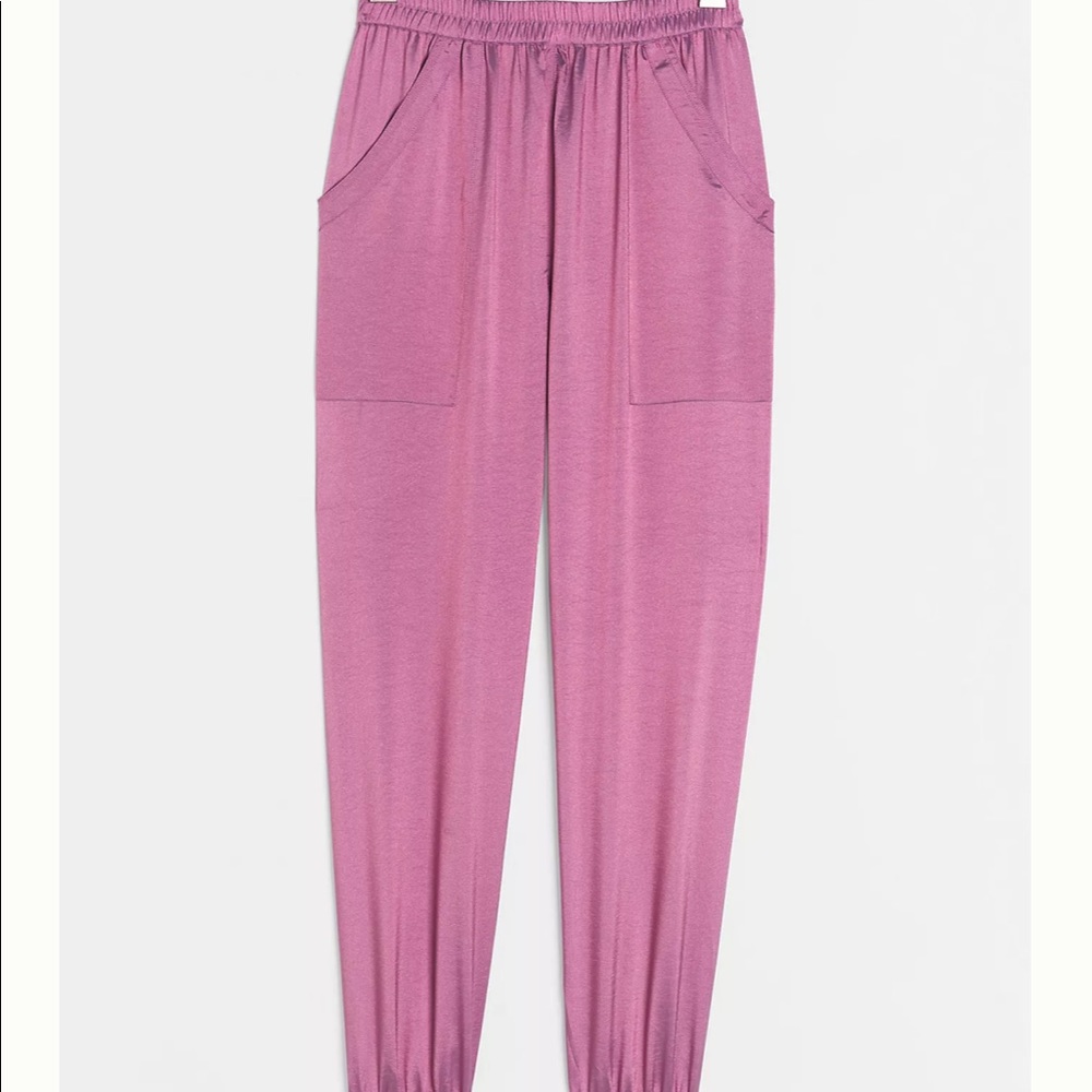 Anthropologie Satin Joggers